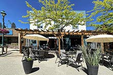 Cibo-and-vines Gallery