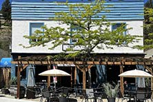 Cibo-and-vines Gallery